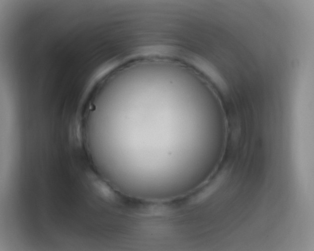 X0000114390974200910231013