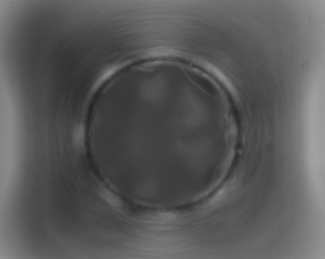 X0000114390975200910231013