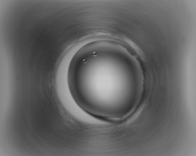 X0000114390977200910231013
