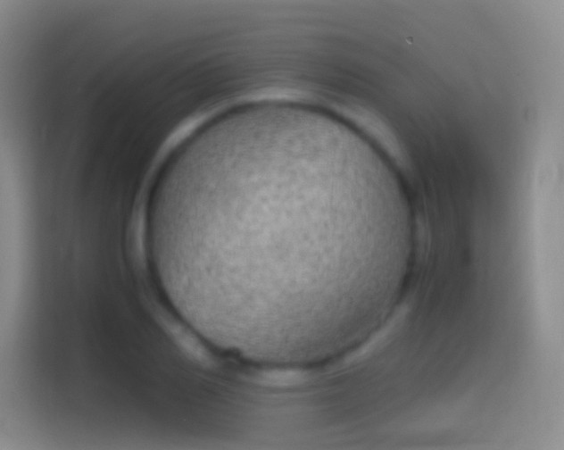 X0000114390982200910231013