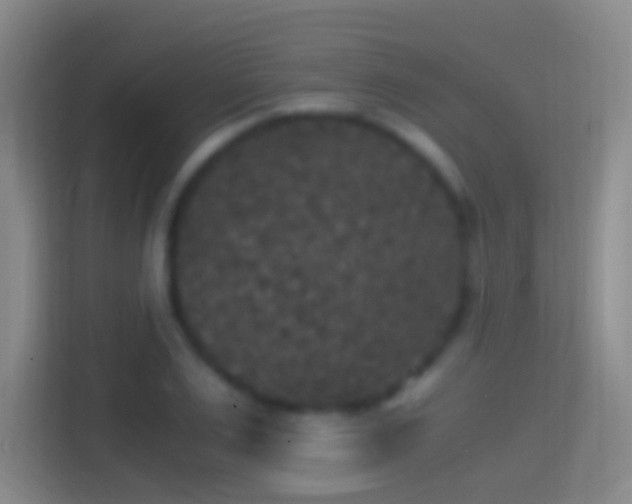 X0000114390983200910231013