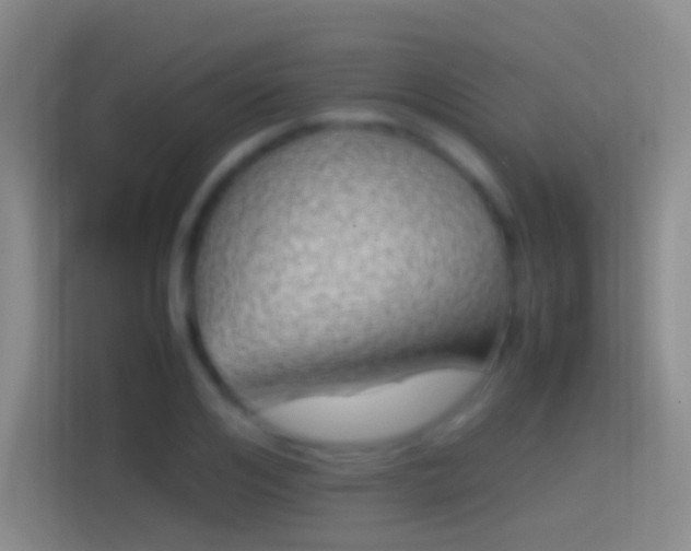 X0000114390984200910231013