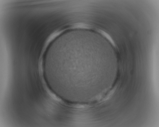 X0000114390987200910231013