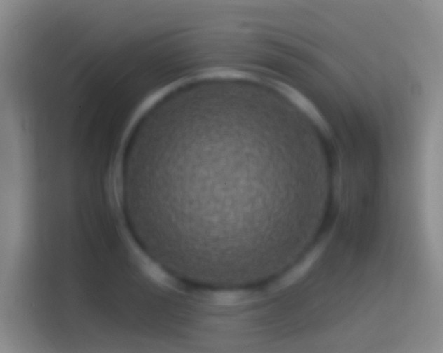 X0000114390988200910231013