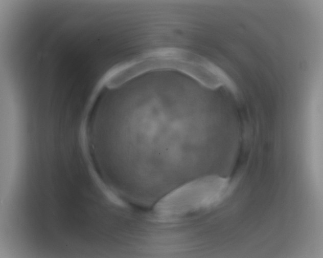 X0000114390989200910231013
