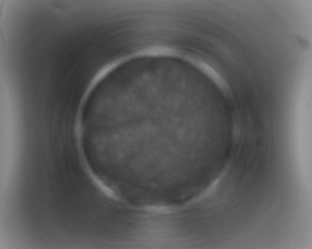 X0000114390990200910231013