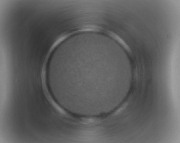 X0000114390991200910231013
