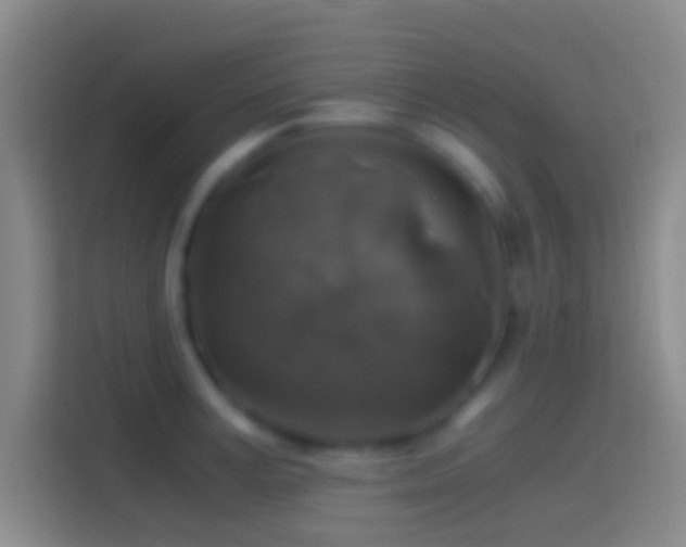 X0000114390995200910231013