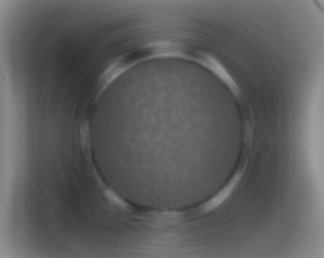 X0000114391001200910231013