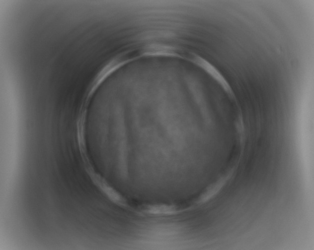 X0000114391002200910231013