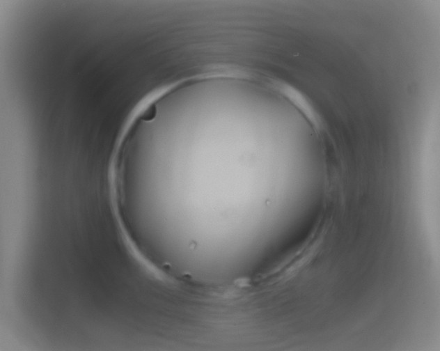 X0000114391003200910231013