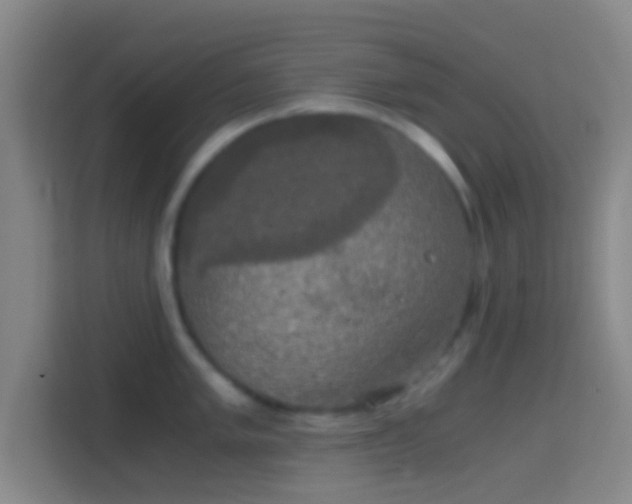 X0000114391005200910231013