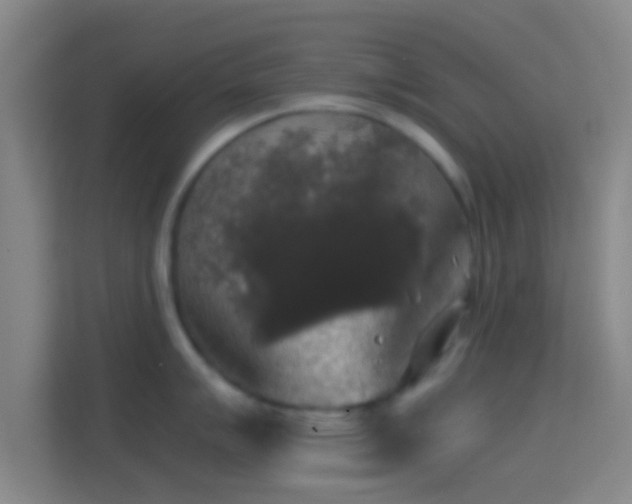 X0000114391007200910231013