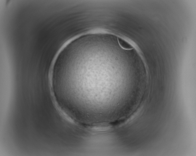 X0000114391008200910231013