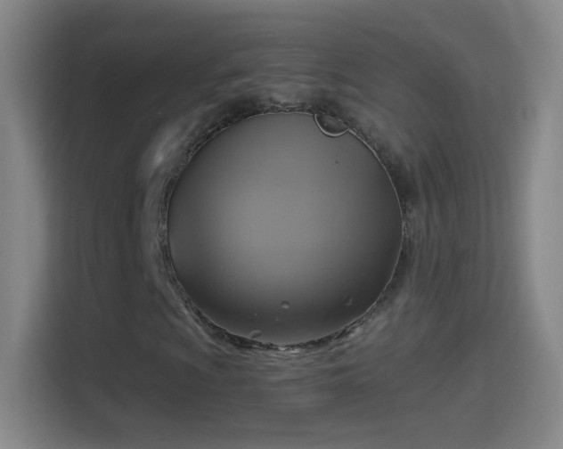 X0000114391009200910231012