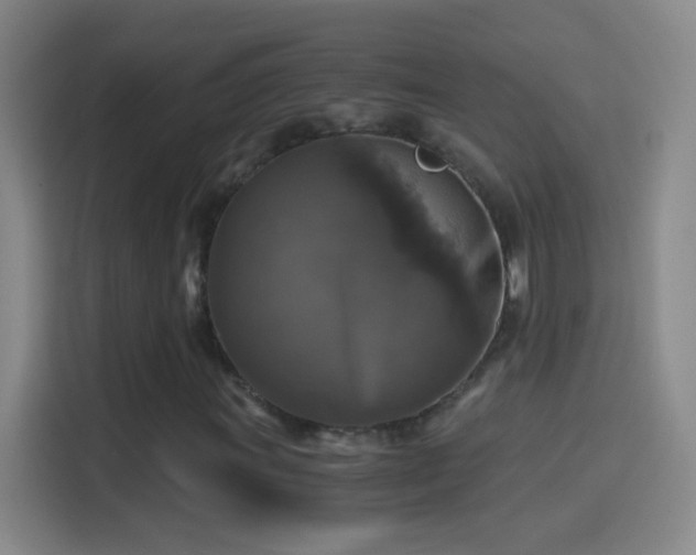 X0000114391011200910231012