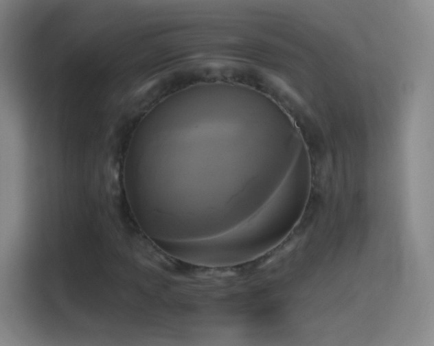 X0000114391013200910231012