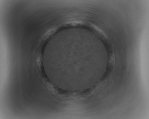 X0000114391014200910231012