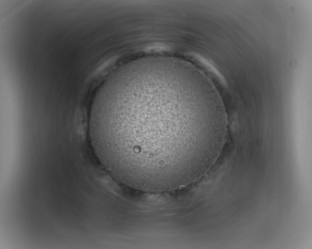 X0000114391015200910231012