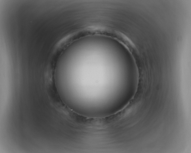 X0000114391016200910231012