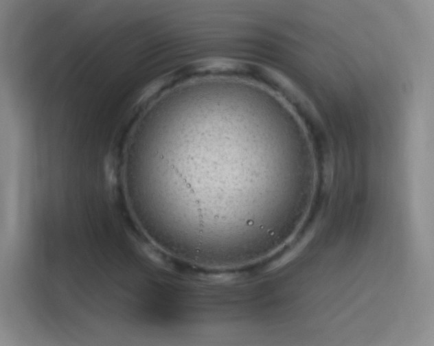 X0000114391017200910231012
