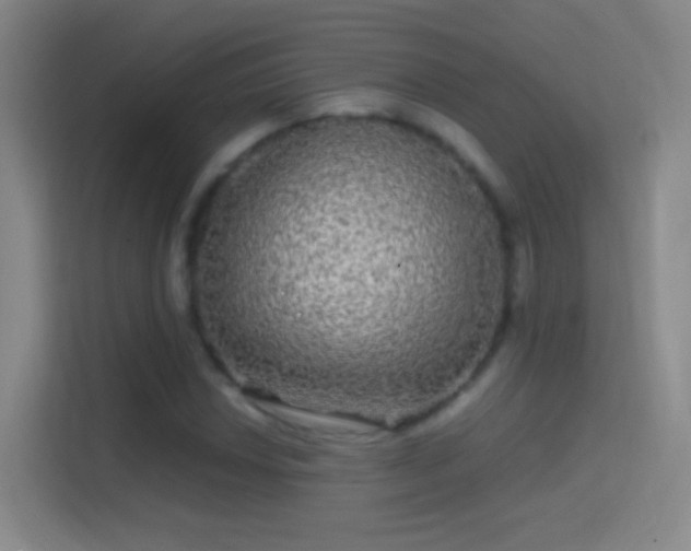 X0000114391018200910231012