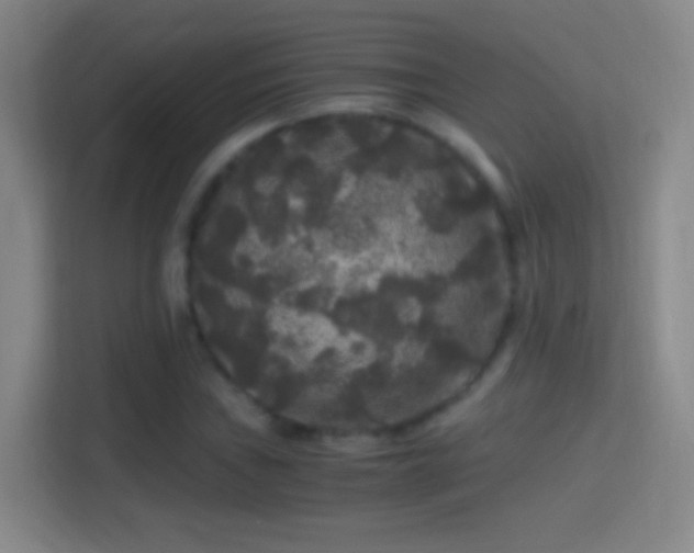X0000114391019200910231012