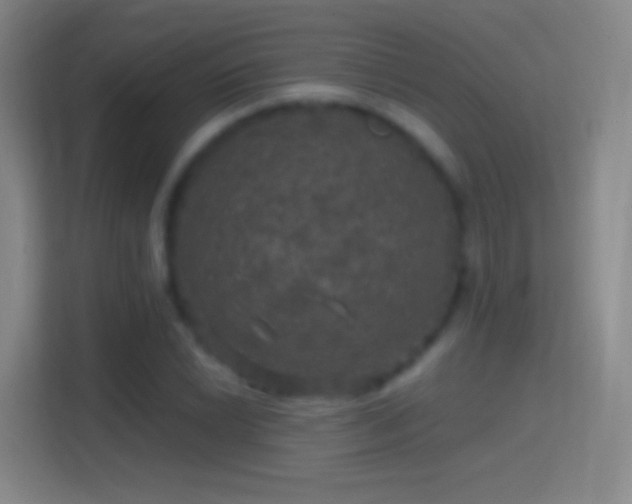 X0000114391022200910231012