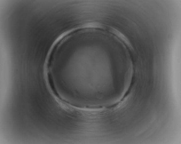 X0000114391024200910231012