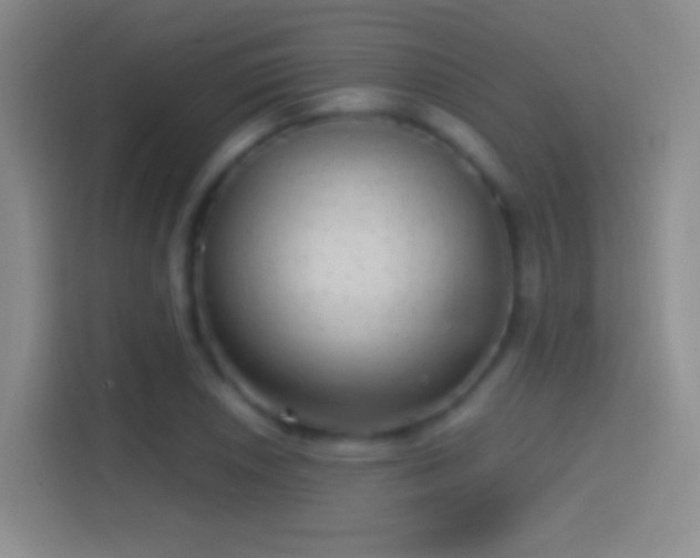 X0000114391026200910231012
