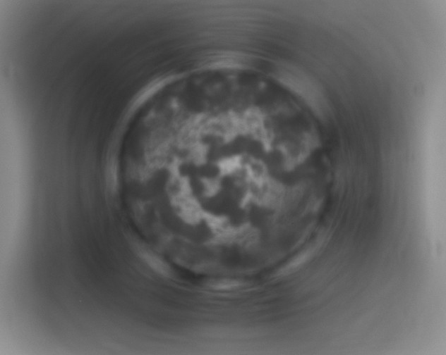 X0000114391027200910231012