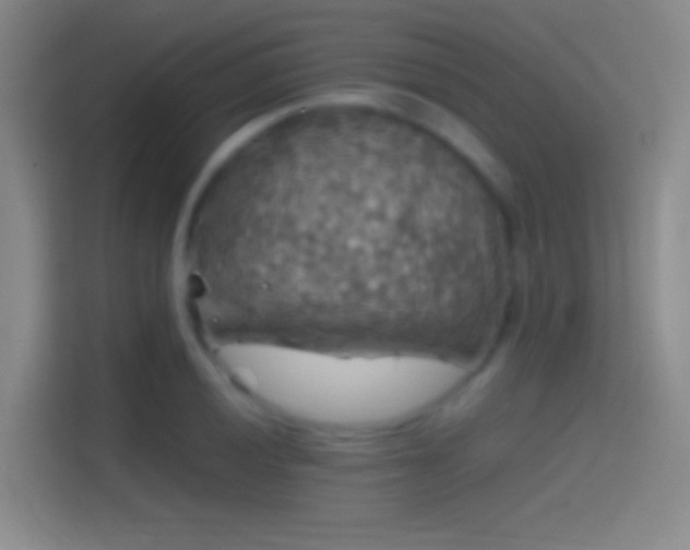 X0000114391028200910231012
