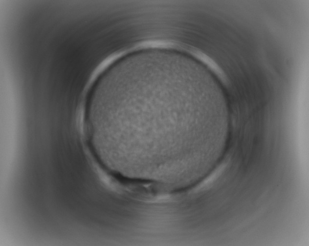 X0000114391030200910231012