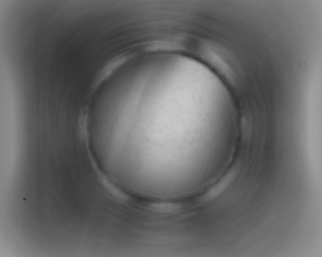 X0000114391033200910231012