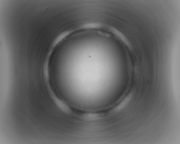 X0000114391034200910231012