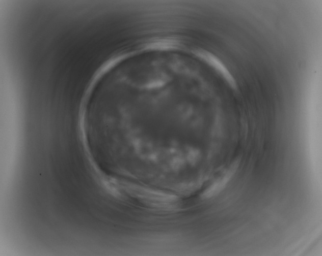 X0000114391035200910231012