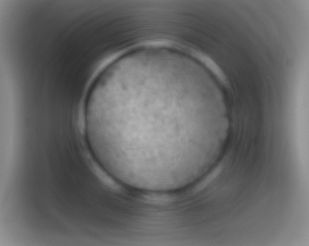 X0000114391036200910231012