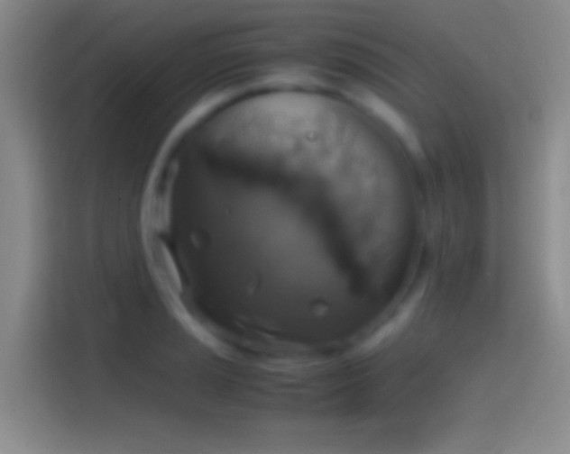 X0000114391037200910231012