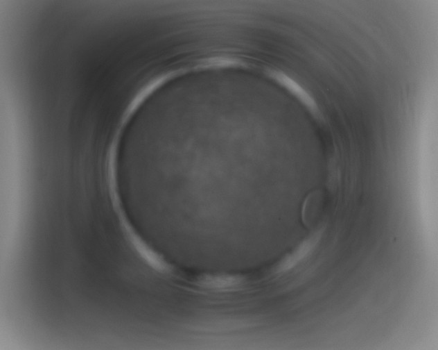 X0000114391039200910231012