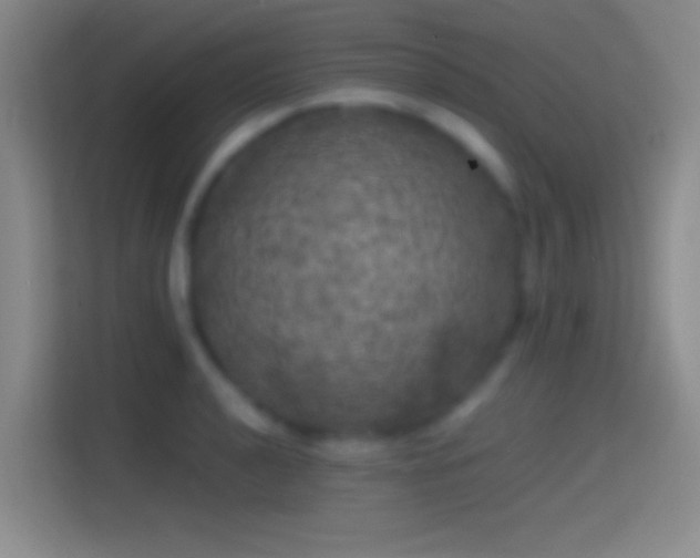 X0000114391040200910231012