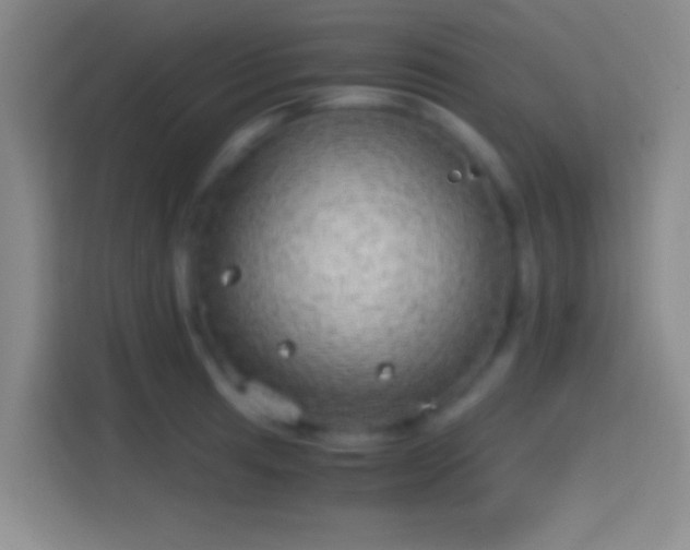 X0000114391041200910231012
