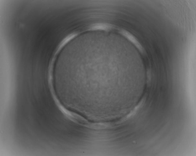 X0000114391042200910231012