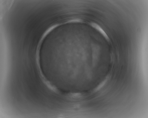 X0000114391043200910231013