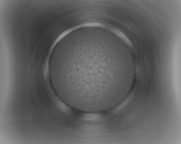 X0000114391044200910231013