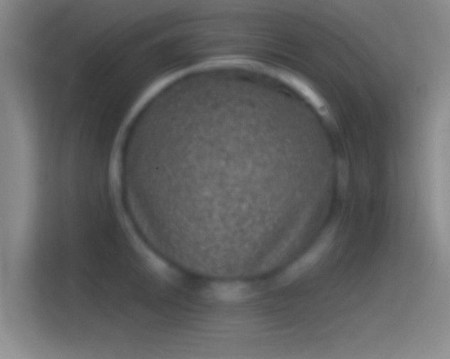 X0000114391046200910231013