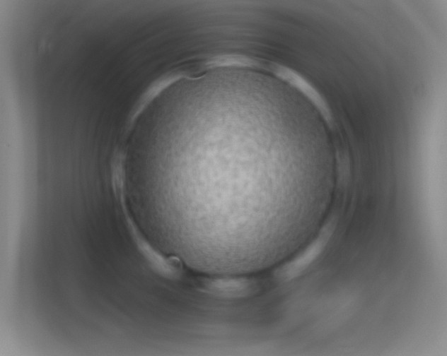X0000114391049200910231013
