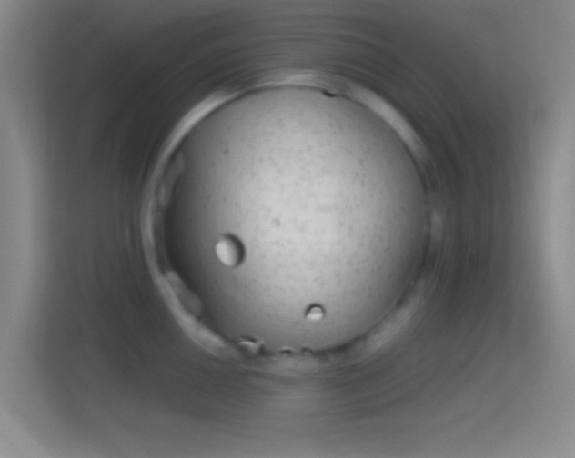 X0000114391050200910231013