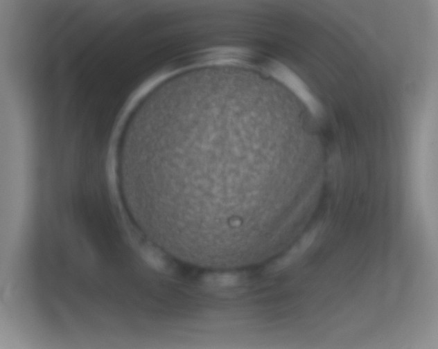 X0000114391051200910231013