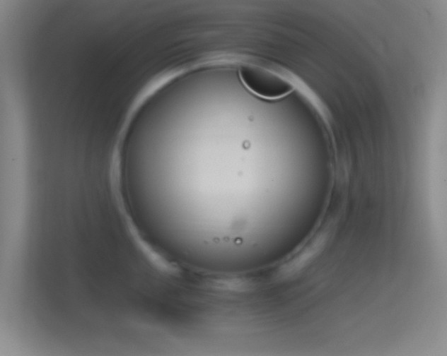 X0000114391053200910231013