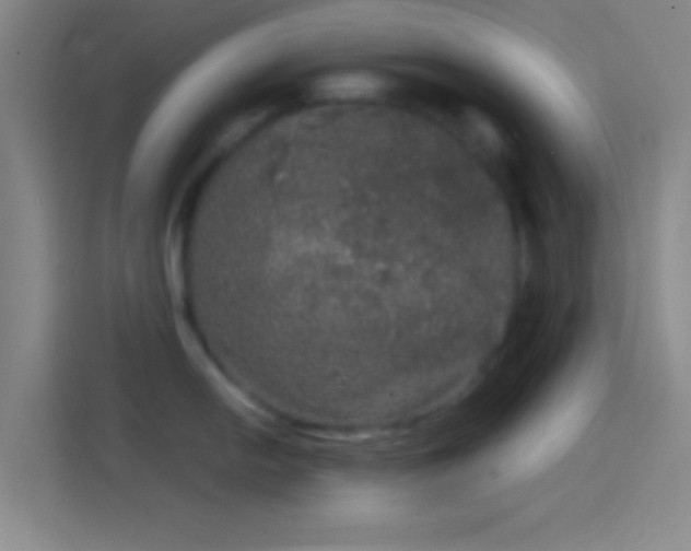 X0000114391054200910231013